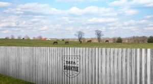 The Advantages of GC Sheet For Cattle Fencing