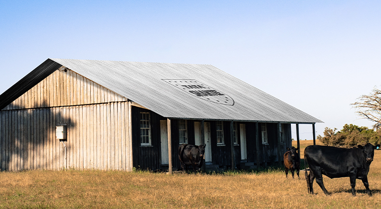 How to Build a Durable Livestock Shelter with Galvanized Corrugated Sheets - Tata Shaktee